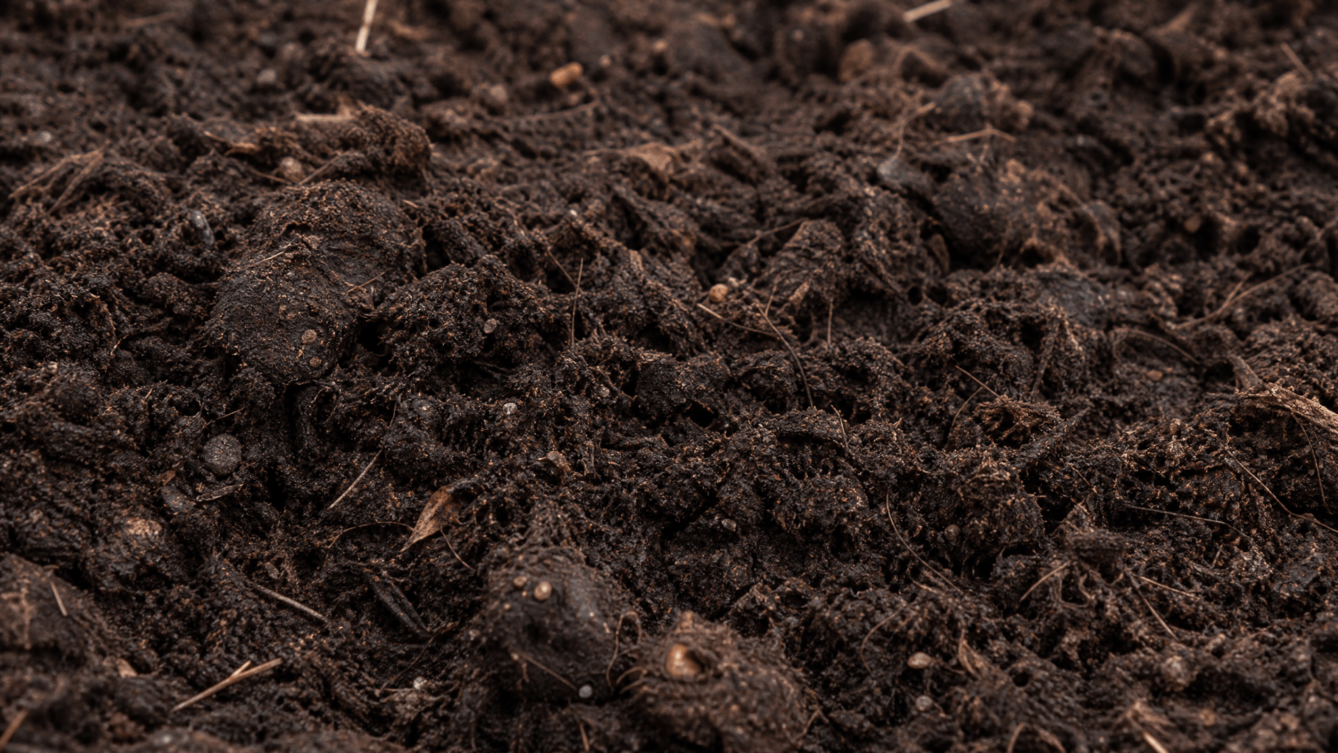Topsoil Delivery in La Vernia