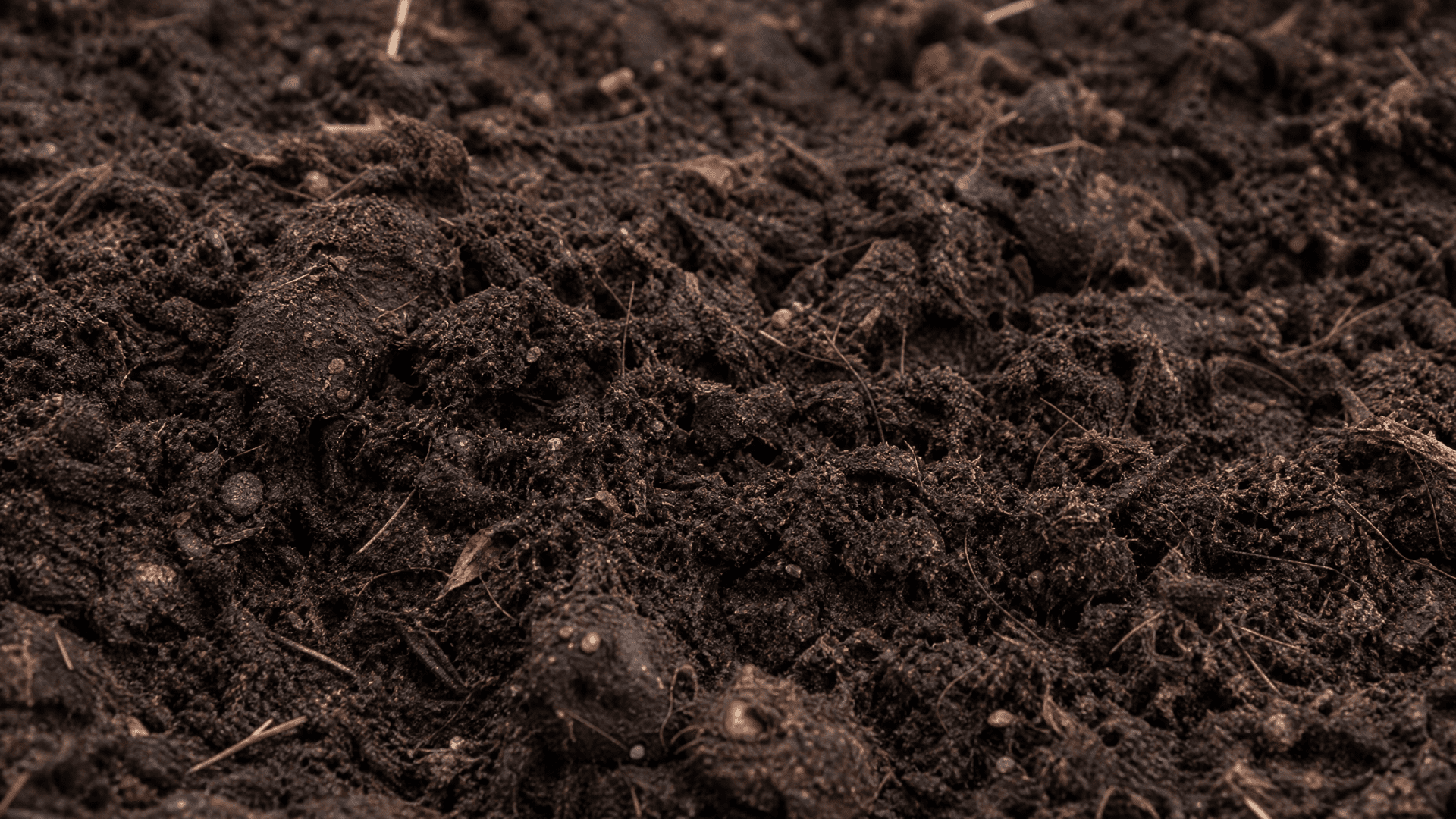 Topsoil Delivery in Cibolo