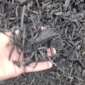 Black Mulch