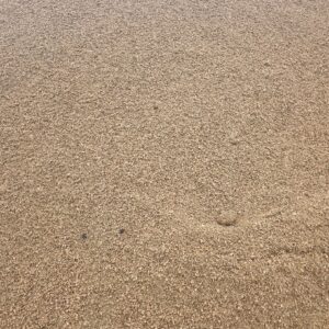 Eight Inch Minus Granite Descomposed