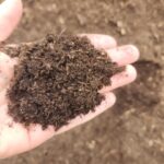 Four Way Compost3