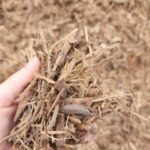 Native Mulch1
