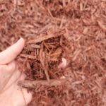 Red Mulch2