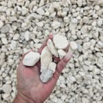 Two Inches Septic4
