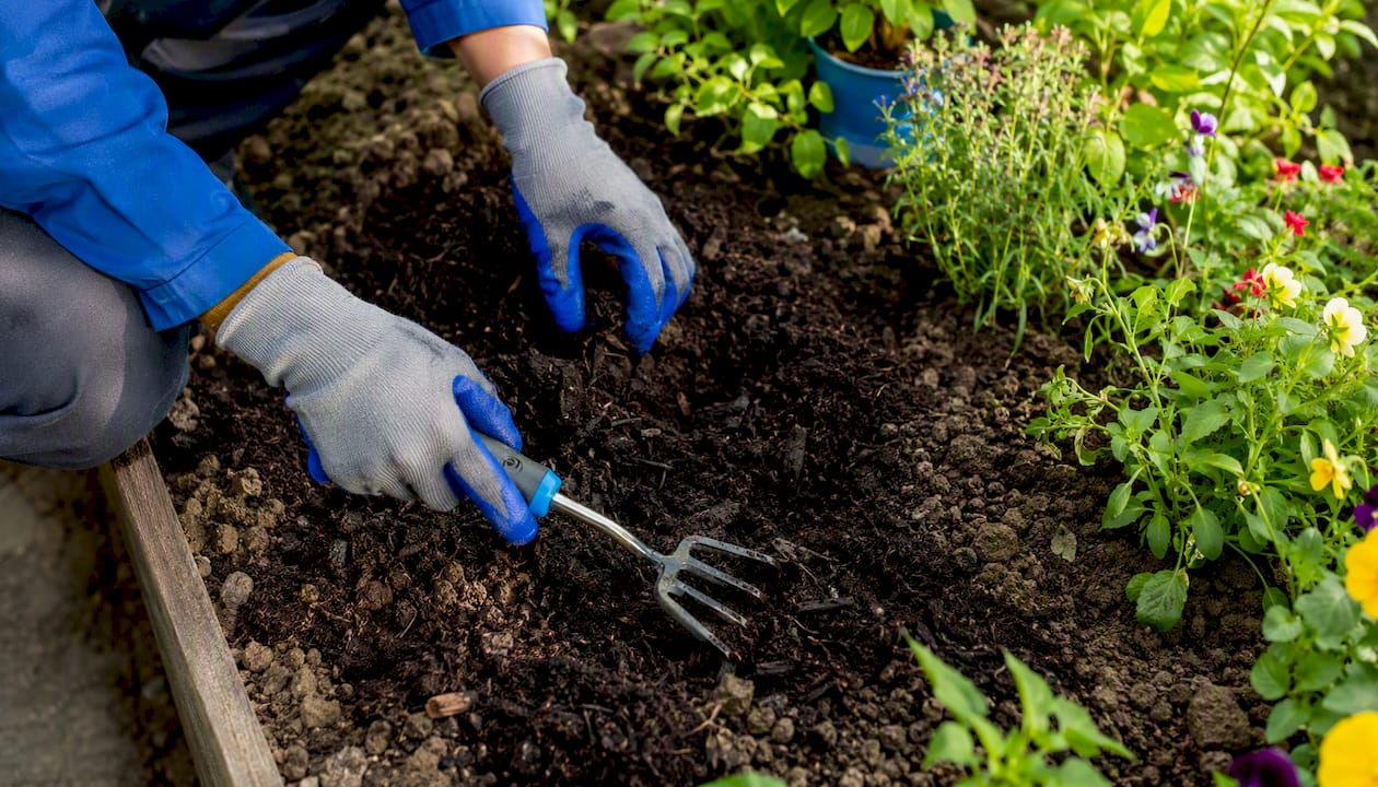 Hands spreading topsoil on prepared soil for sod
