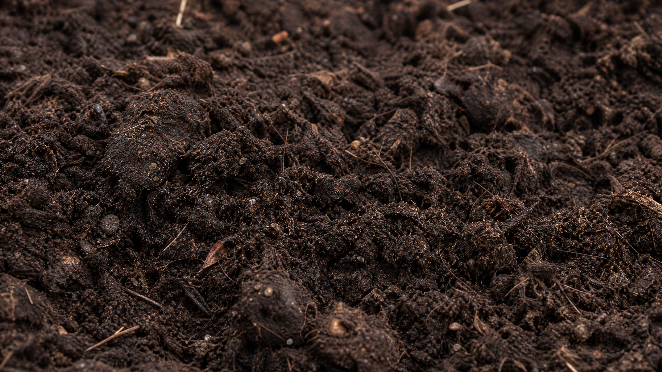 Topsoil Delivery in Buda